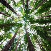 helderziende Natasha- Hi, ik ben er voor jou voor als jij even de bomen door het bos niet meer ziet staan. Ik zet jou graag in je volle kracht en eigen energie stel jezelf a.u.b. ook open voor mij. Alleen dan kunnen wij samen kijken wat voor advies bij jou past en wat jouw toekomst jou mag brengen. Ik help je zeer graag bij een rouwproces of gemis van een dierbare. Wellicht mag ik wel een mooie boodschap aan u doorgeven. Mijn doel is om jou met een glimlach en inzicht achter het scherm vandaan te laten gaan en dat jij verder kunt met mijn inzichten. 4 minuten gratis consult met onze helderzienden bij eerste kredietoplading. Helderziende hulplijn waar een   helderziende  je    inzicht en   online antwoord geeft. Bij aanmaak van een gratis account en na uw eerste betaling, ontvangt u 4 gratis minuten om op te bellen met een   helderziende.